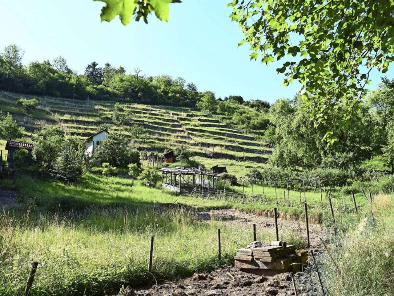 Bezirksbeirat  Untertürkheim: Landwirtschaftliche Flächen erhalten