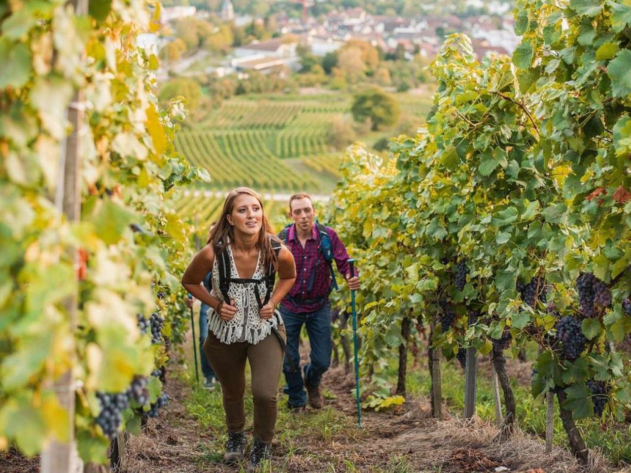 Großereignis im August: Fellbach lockt Deutschlands Wanderer