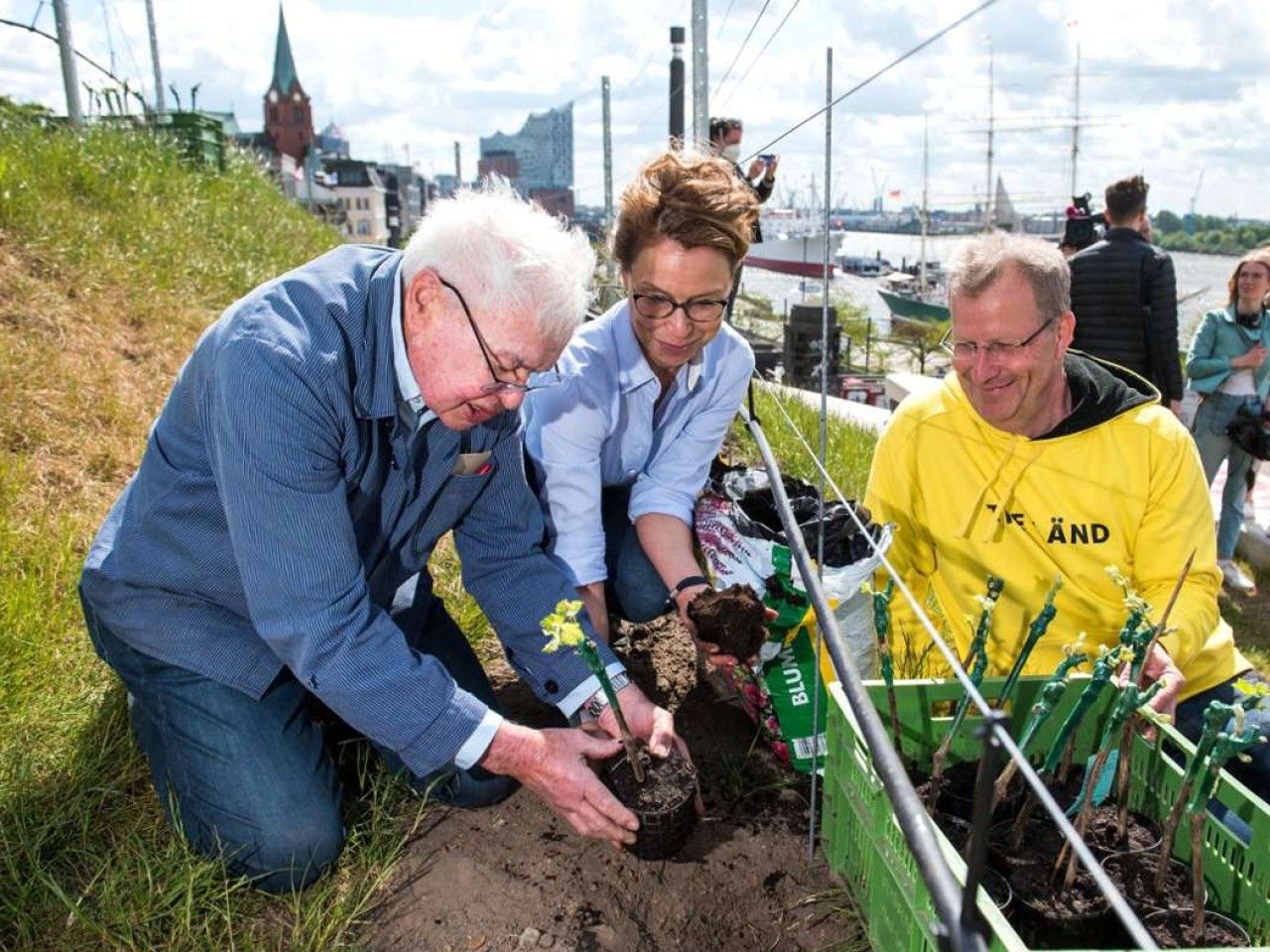 Weinbau in Uhlbach: Uhlbacher pflanzt Reben an der Elbe