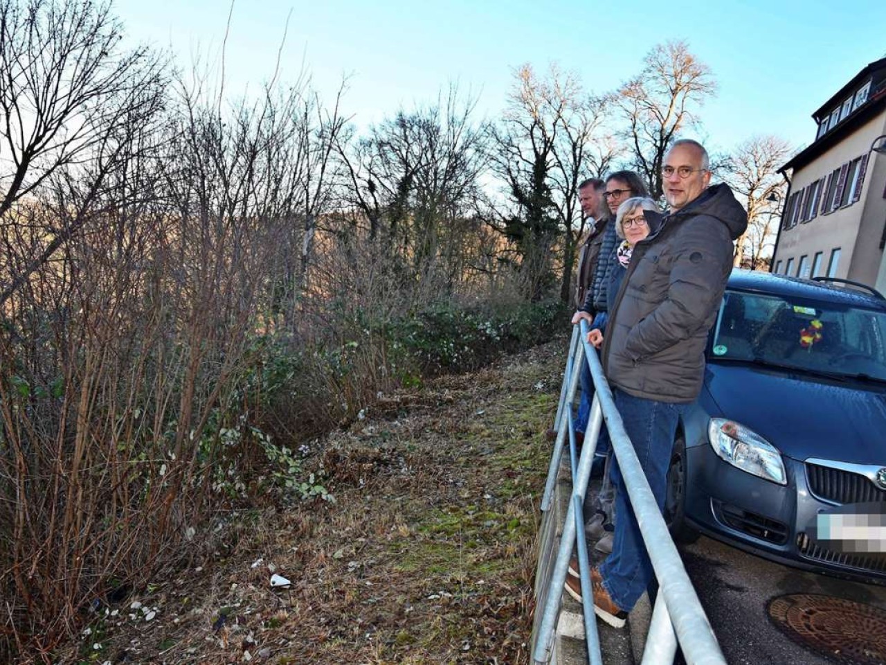 Ziegen in Rotenberg: Gestrüpp verhindert Panoramablick