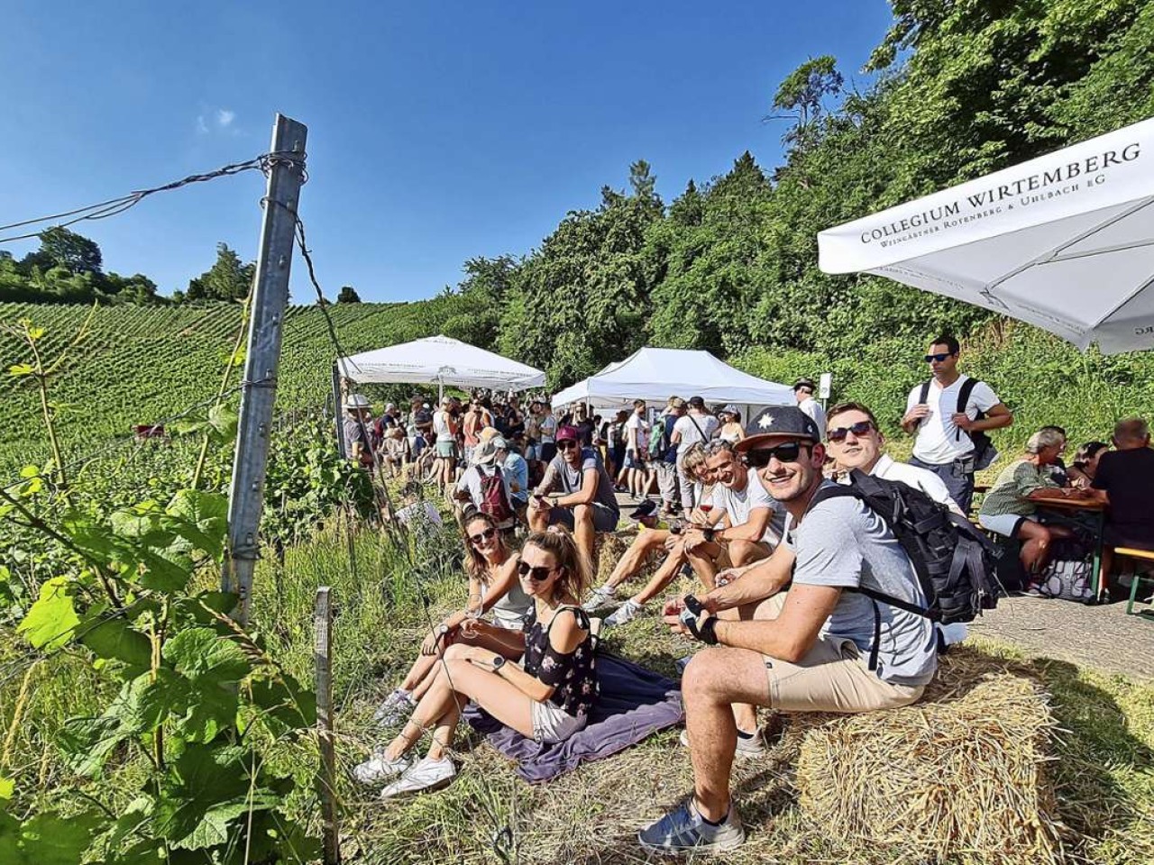 Wein in Uhlbach: Sommerlich Weinwanderung