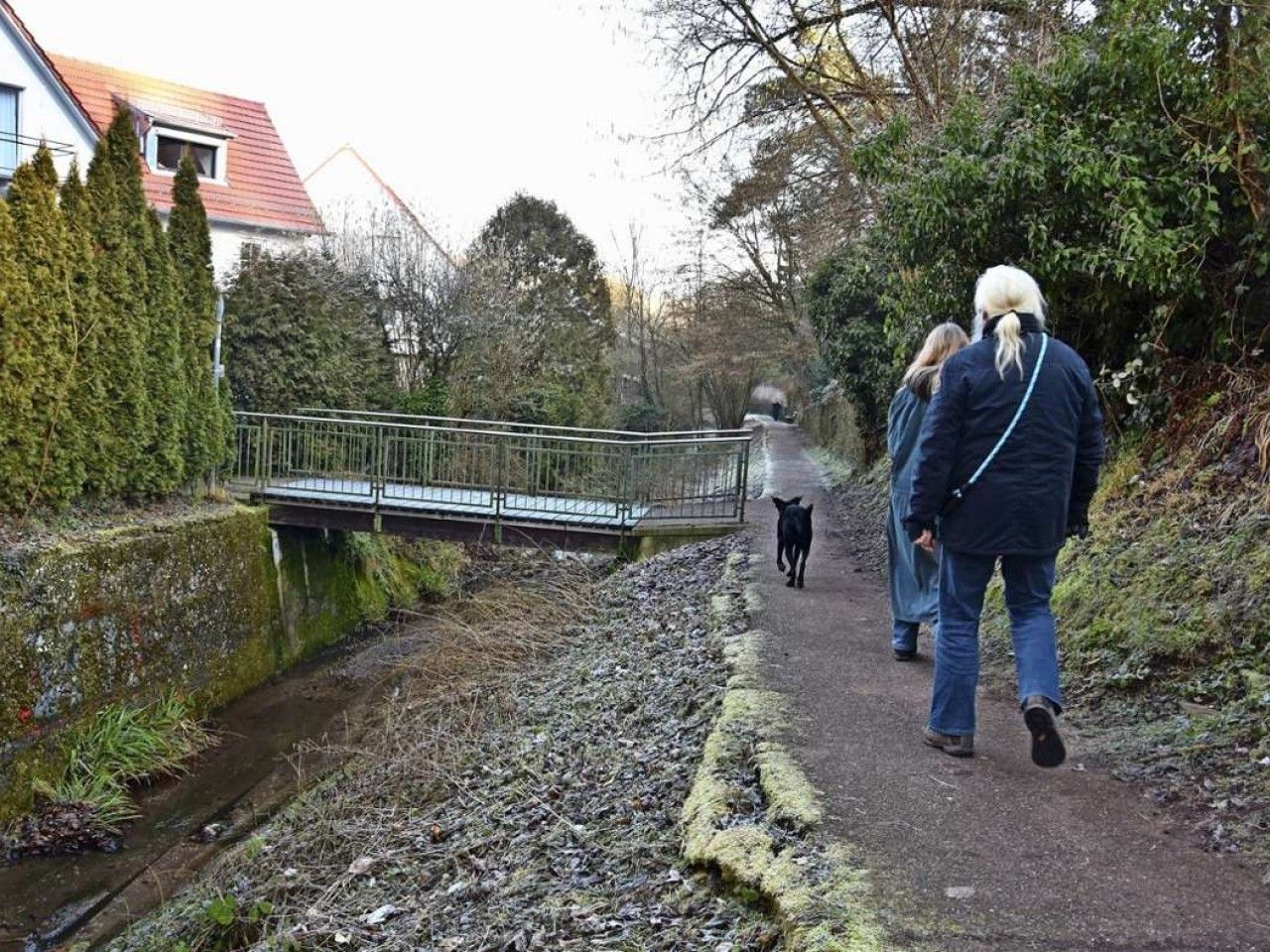 Bach in Rohracker: Renaturierung des Bußbaches