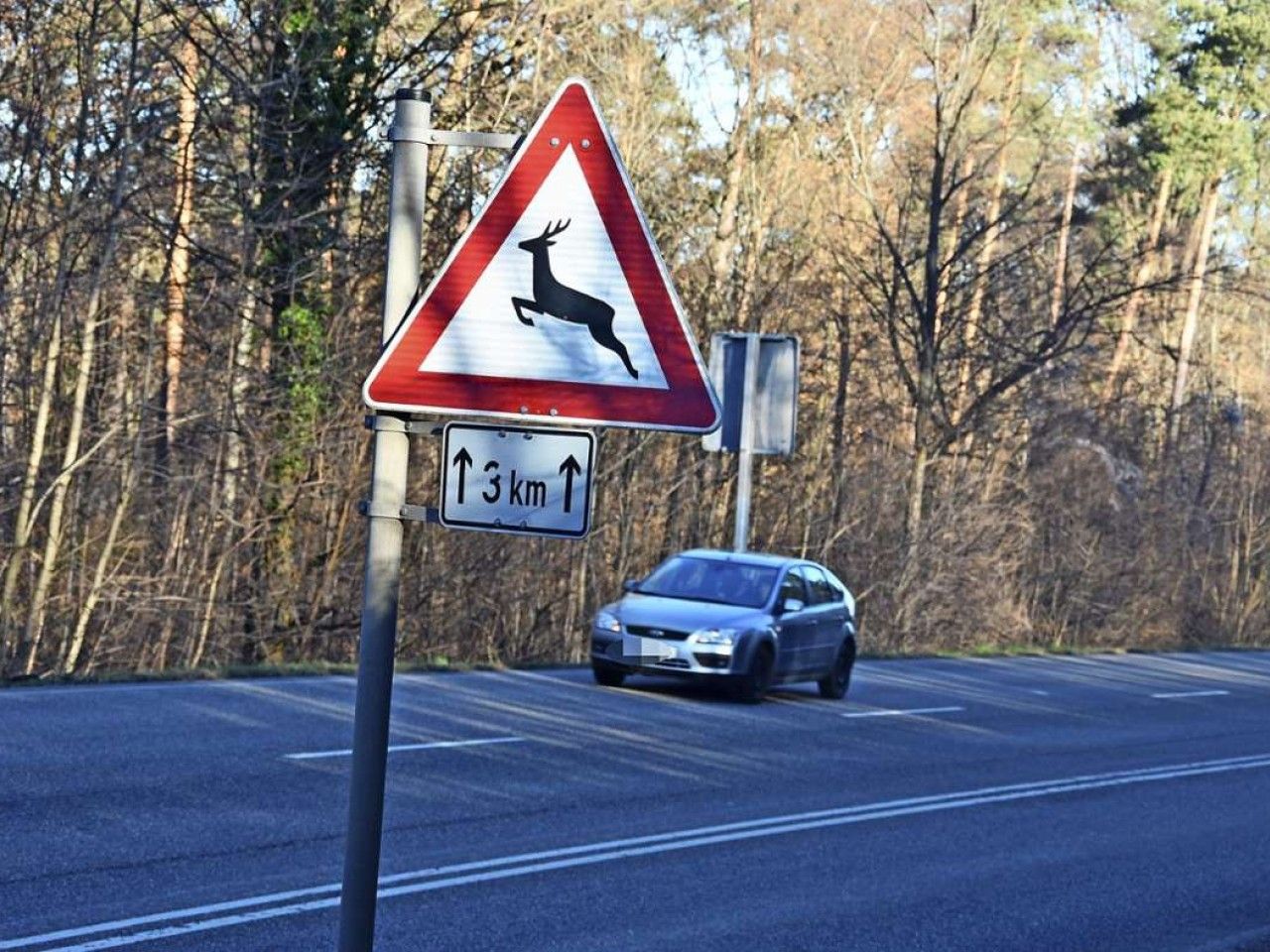 Tiere in Untertürkheim: Tempolimit schützt Wildtiere